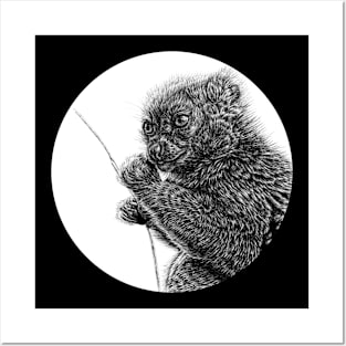 Gentle lemur illustration Posters and Art